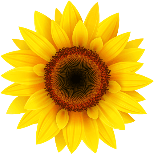 LIVING FULLY TOGETHER-1765350484327